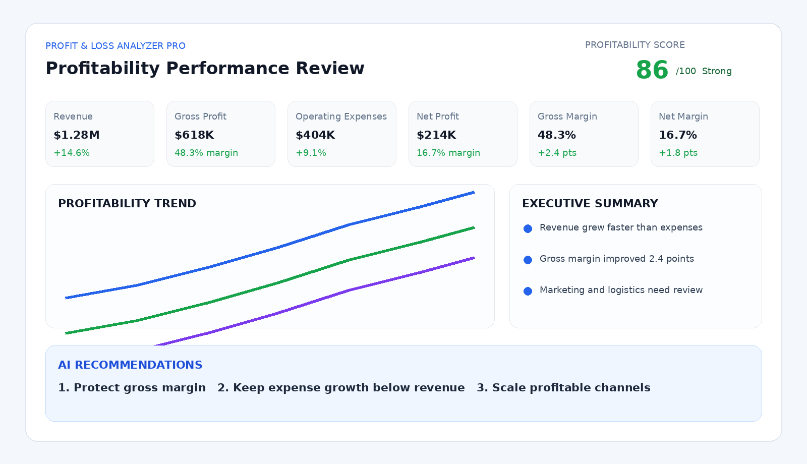 Profit and Loss Analyzer Pro report showing revenue, gross profit, expenses, net profit, margins, trends, risks, and recommendations
